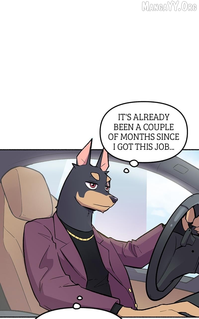 Mr. Tiger's Snacks Chapter 7 - page 14