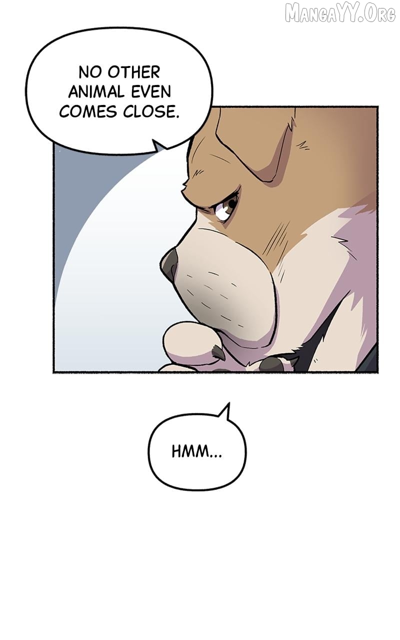 Mr. Tiger's Snacks Chapter 7 - page 8