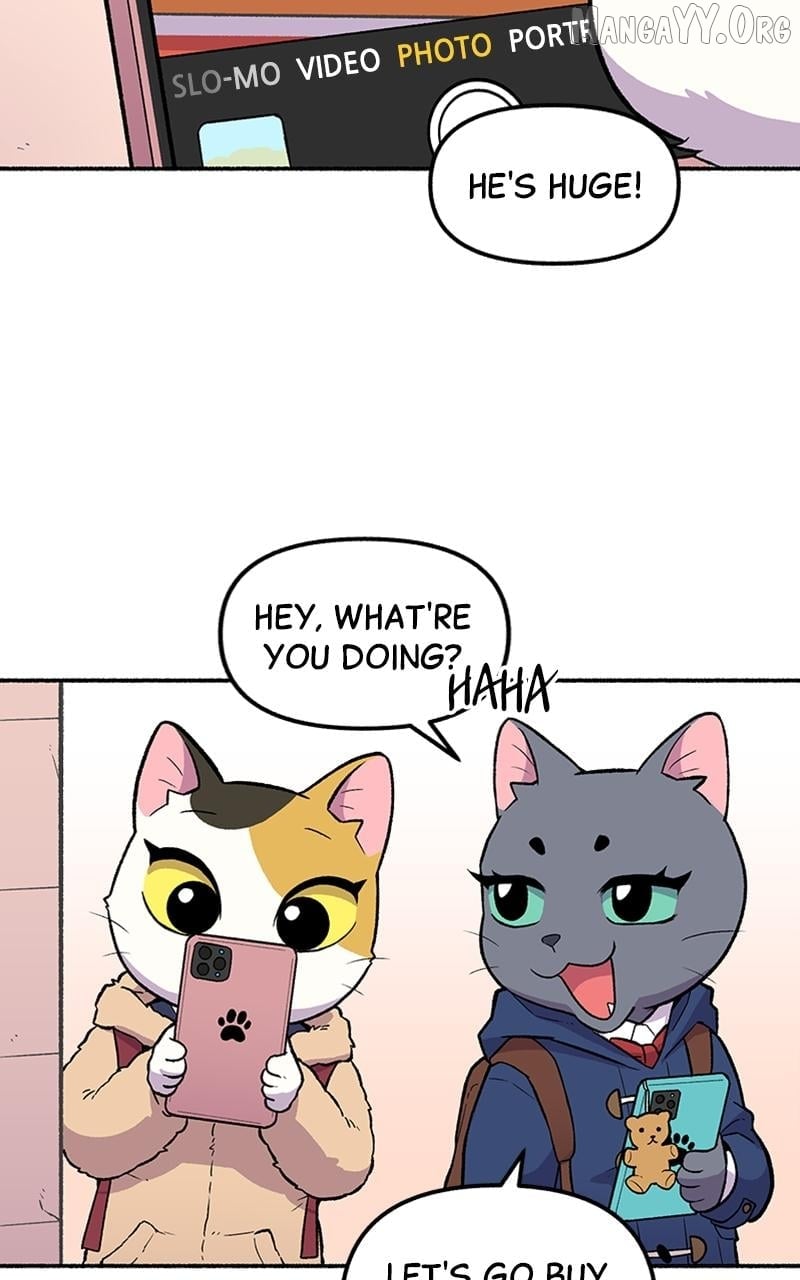 Mr. Tiger's Snacks Chapter 8 - page 11