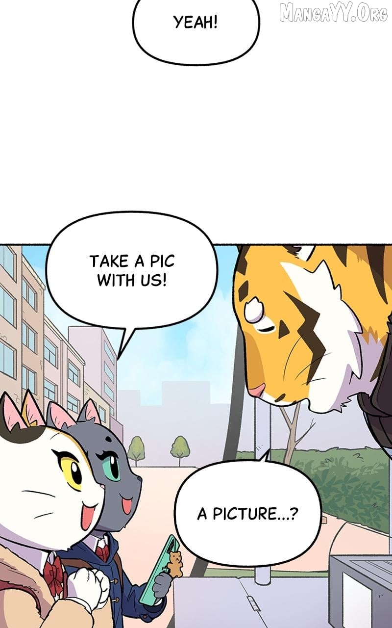 Mr. Tiger's Snacks Chapter 8 - page 24