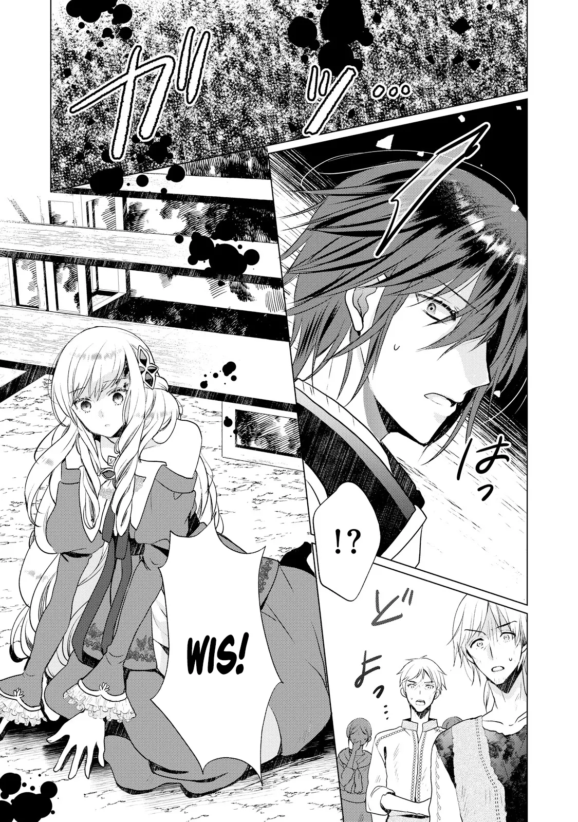 The Knight Commander Who Executed Me Is Now Doting on Me Chapter 3 - page 17