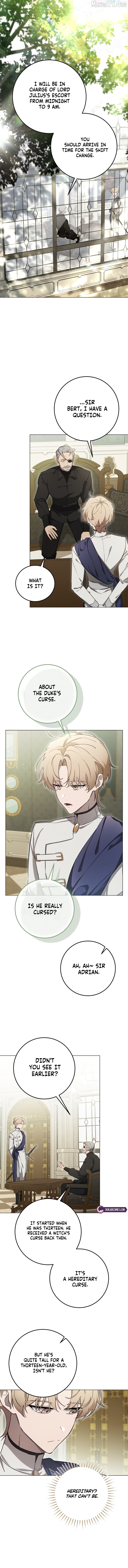 A Bad Example of a Perfect Curse Chapter 3 - page 3