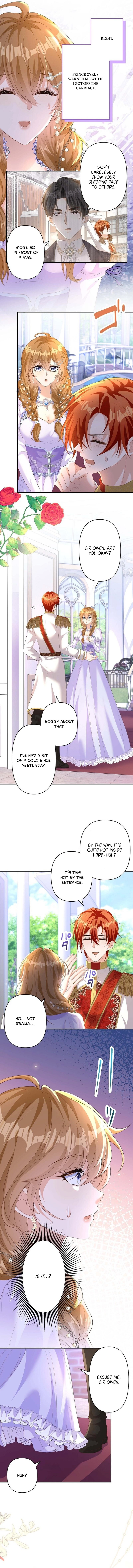 Marriage Statute of Limitations -I Was Supposed to Start This Life with a Divorce, But the Prince Is Obsessed with Me ~ Chapter 19 - page 5