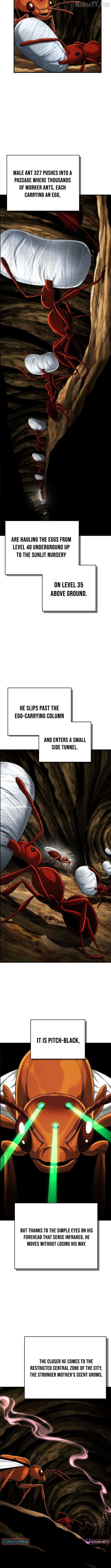 Empire of the Ants Chapter 5 - page 4