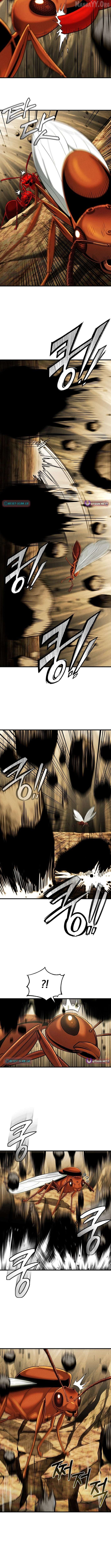 Empire of the Ants Chapter 8 - page 4