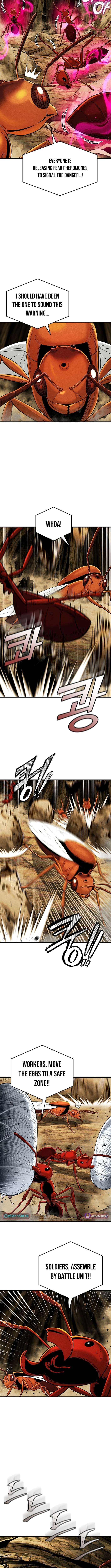 Empire of the Ants Chapter 8 - page 6