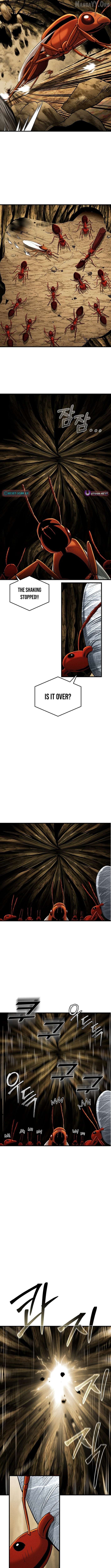 Empire of the Ants Chapter 8 - page 7