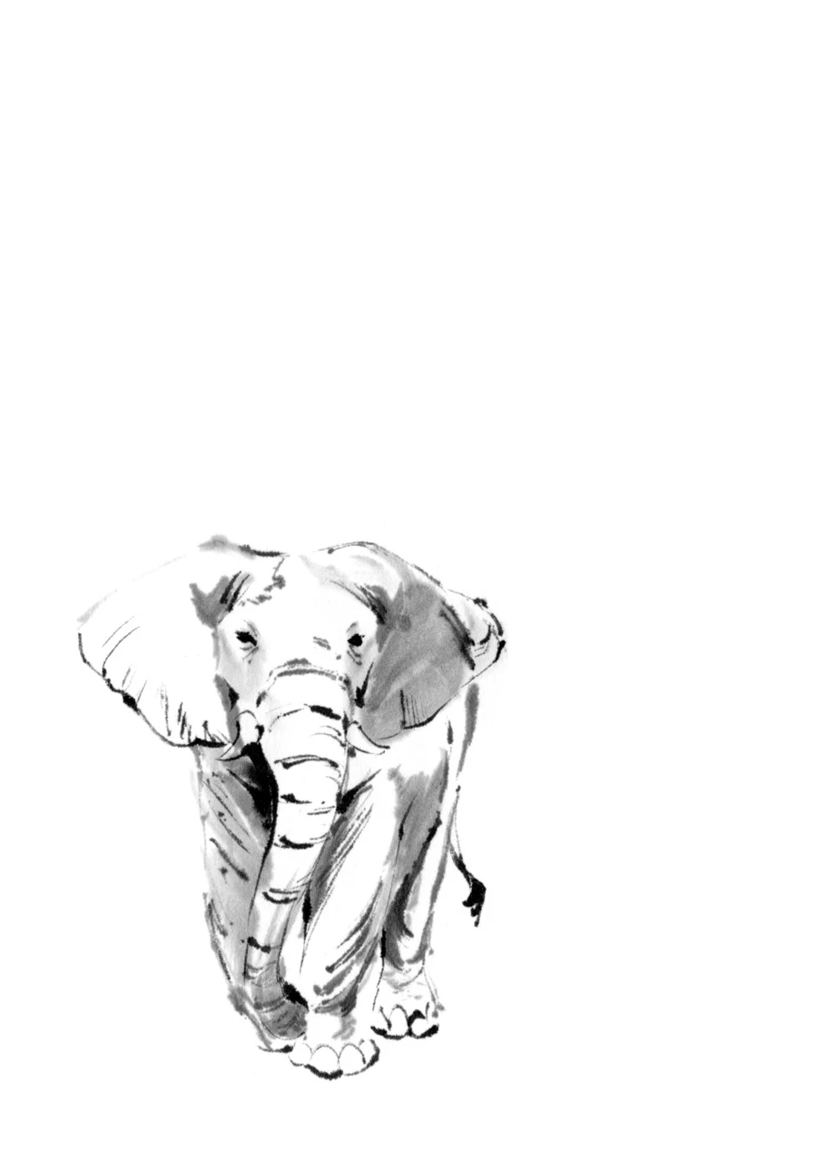 The Tiger Still Won’t Eat The Dragon Chapter 29 - page 24