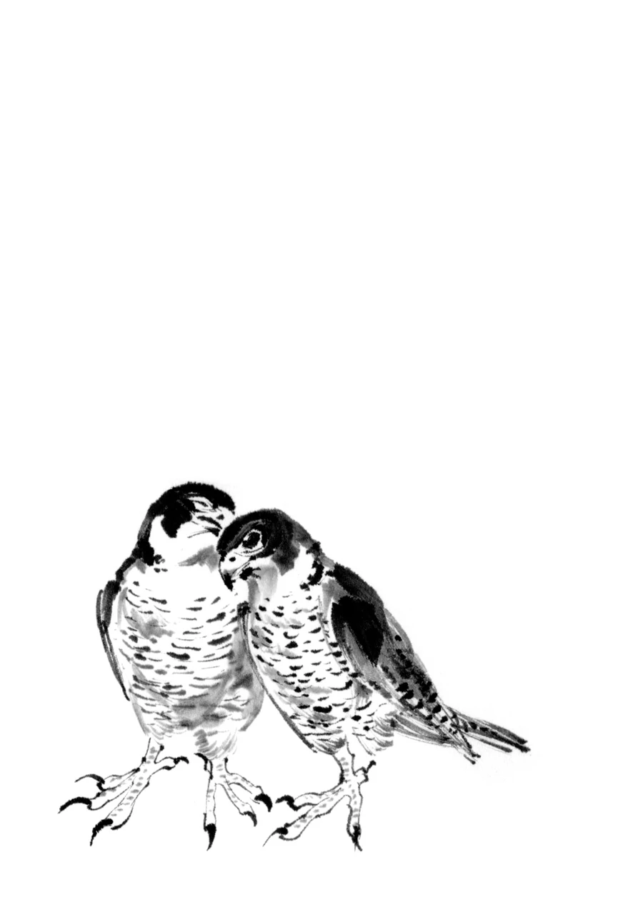 The Tiger Still Won’t Eat The Dragon Chapter 31 - page 16