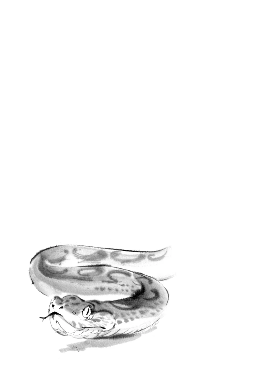 The Tiger Still Won’t Eat The Dragon Chapter 32.5 - page 13