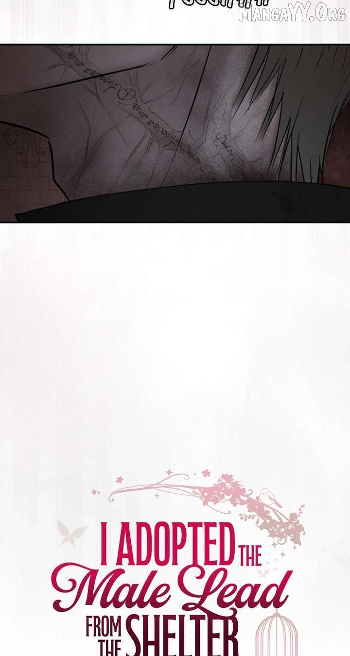 I Adopted a Male Lead From a Prison Shelter Chapter 98 - page 16