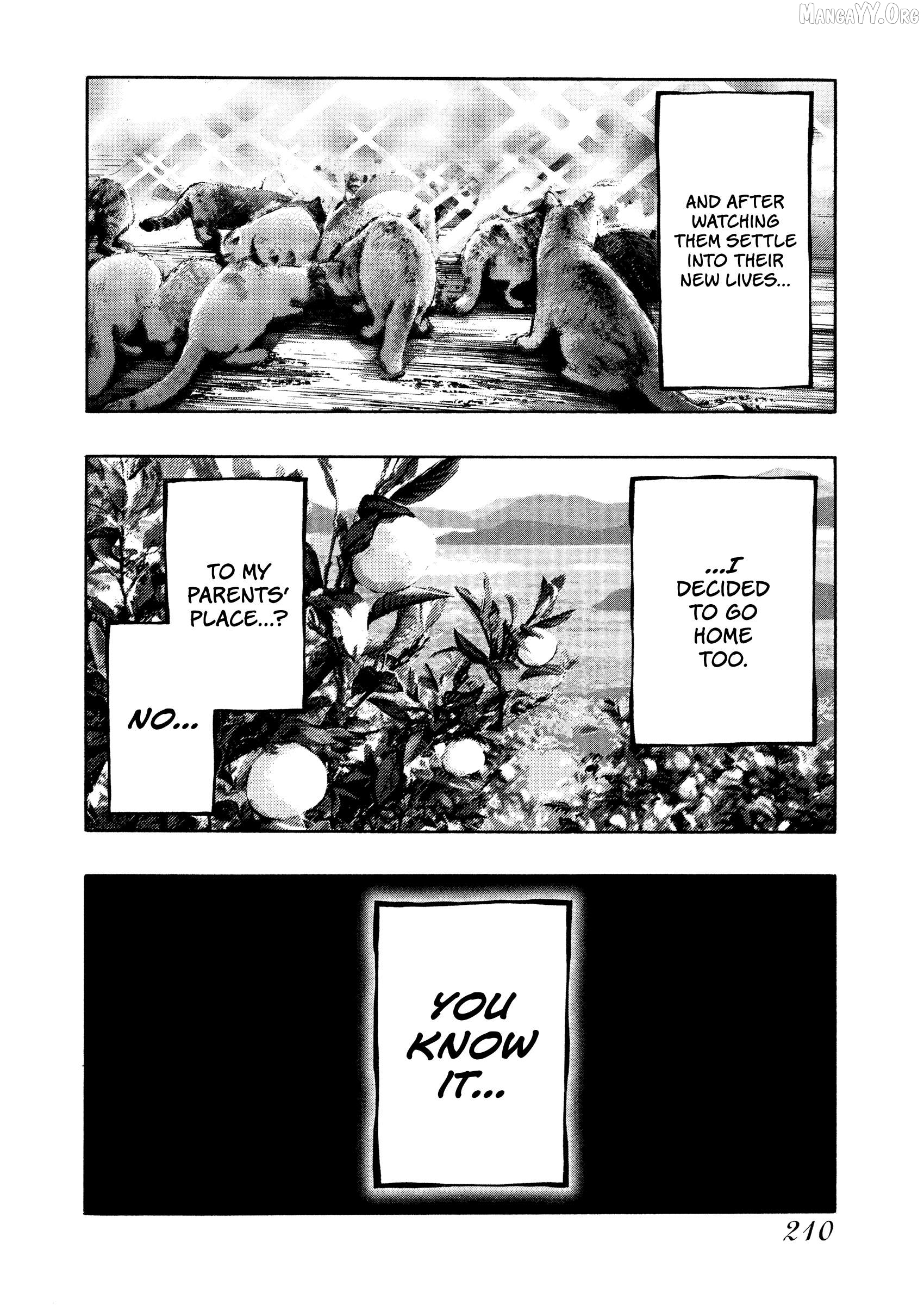 Kippo - Manga Chapter 67 - page 17