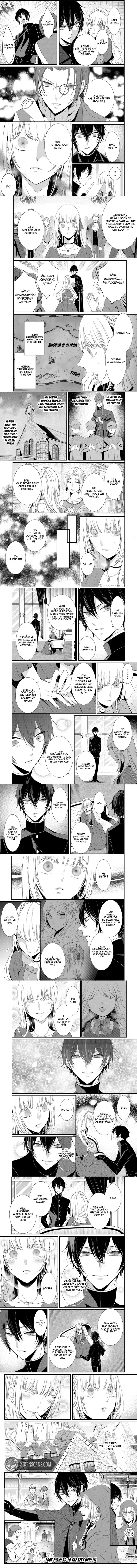 Kokurou Ou to Shirogane no Niehime Chapter 13 - page 4