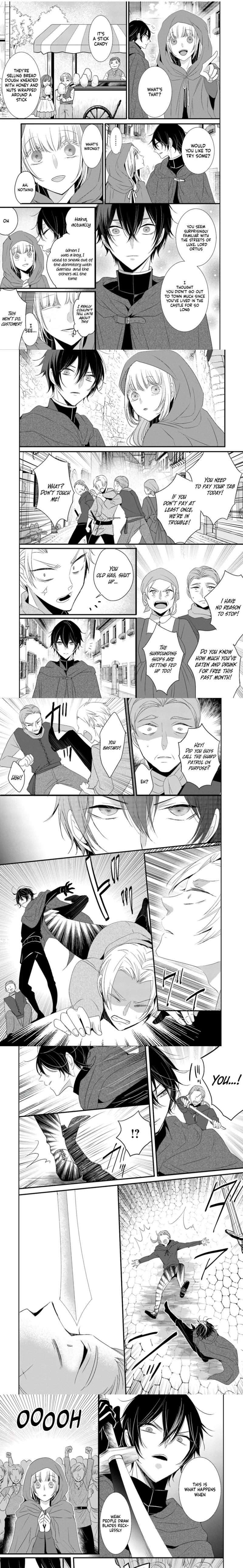 Kokurou Ou to Shirogane no Niehime Chapter 13 - page 5