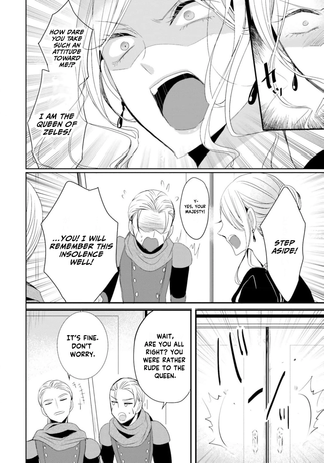 Kokurou Ou to Shirogane no Niehime Chapter 20 - page 13