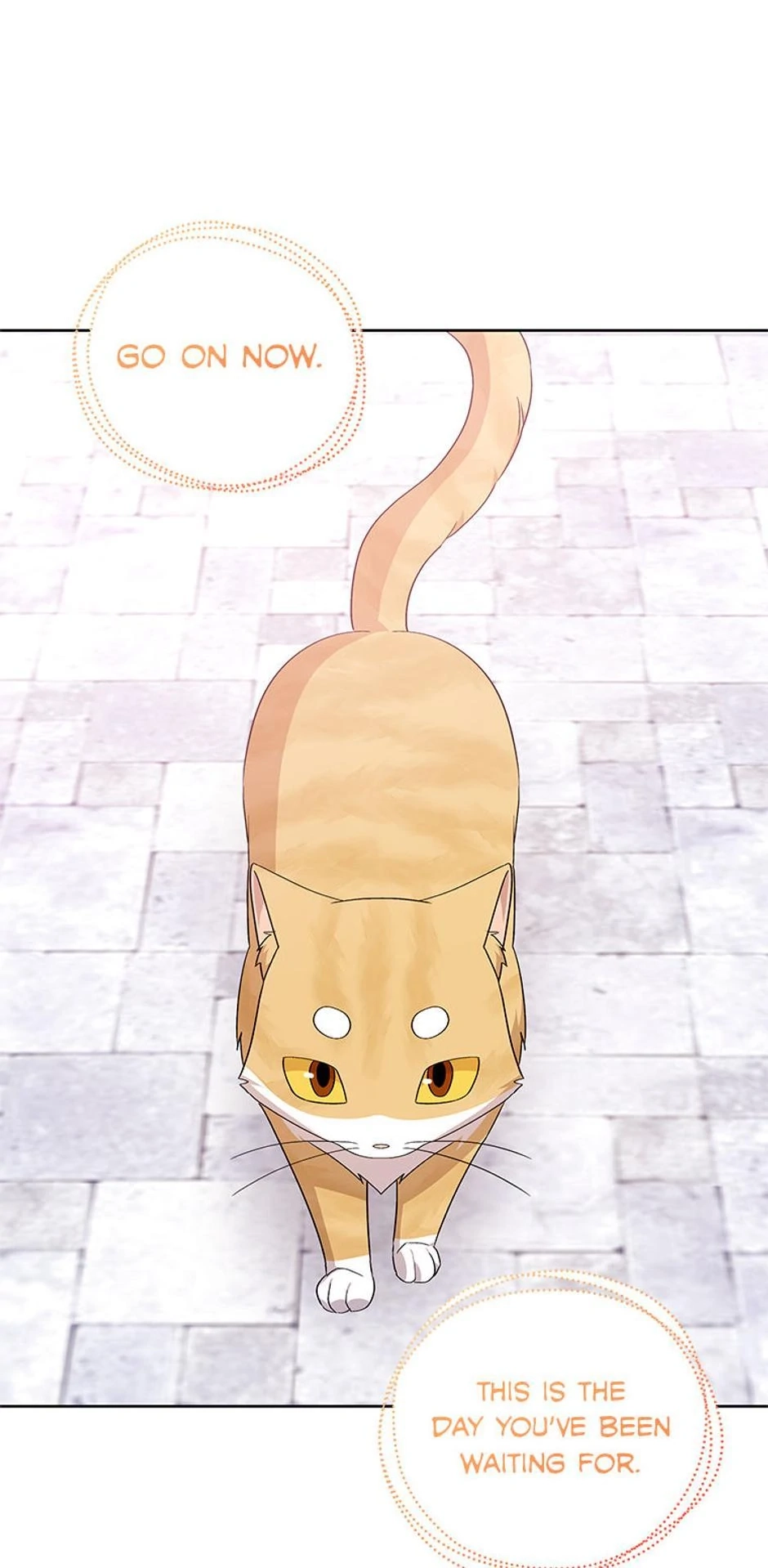 The Cute Little Saintess Chapter 94 - page 20