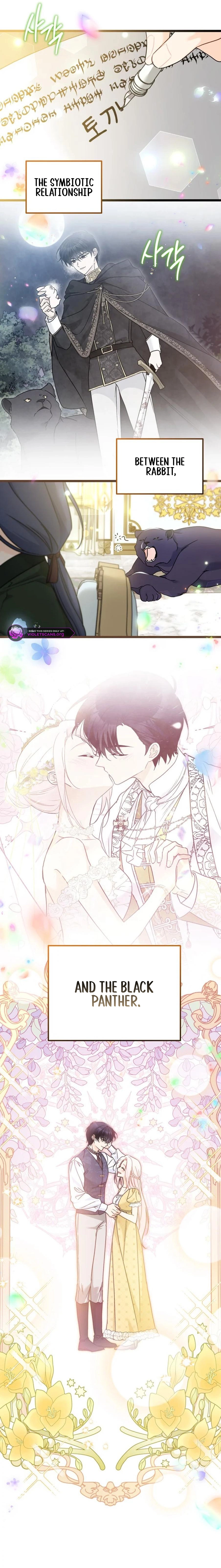 Little Rabbit and the Big Bad Leopard Chapter 206 - page 17