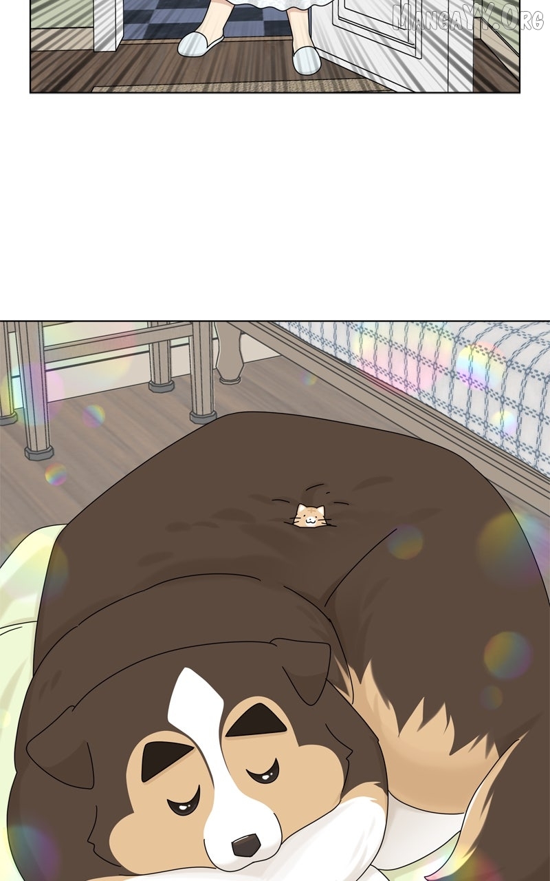The Dog Diaries Chapter 240 - page 16