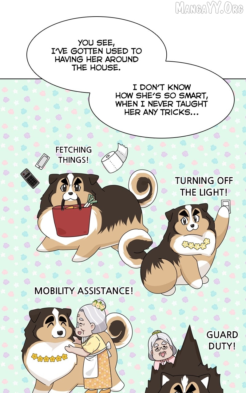 The Dog Diaries Chapter 240 - page 37