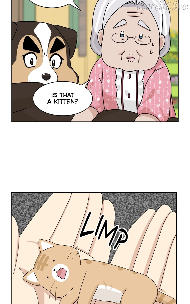 The Dog Diaries Chapter 240 - page 68