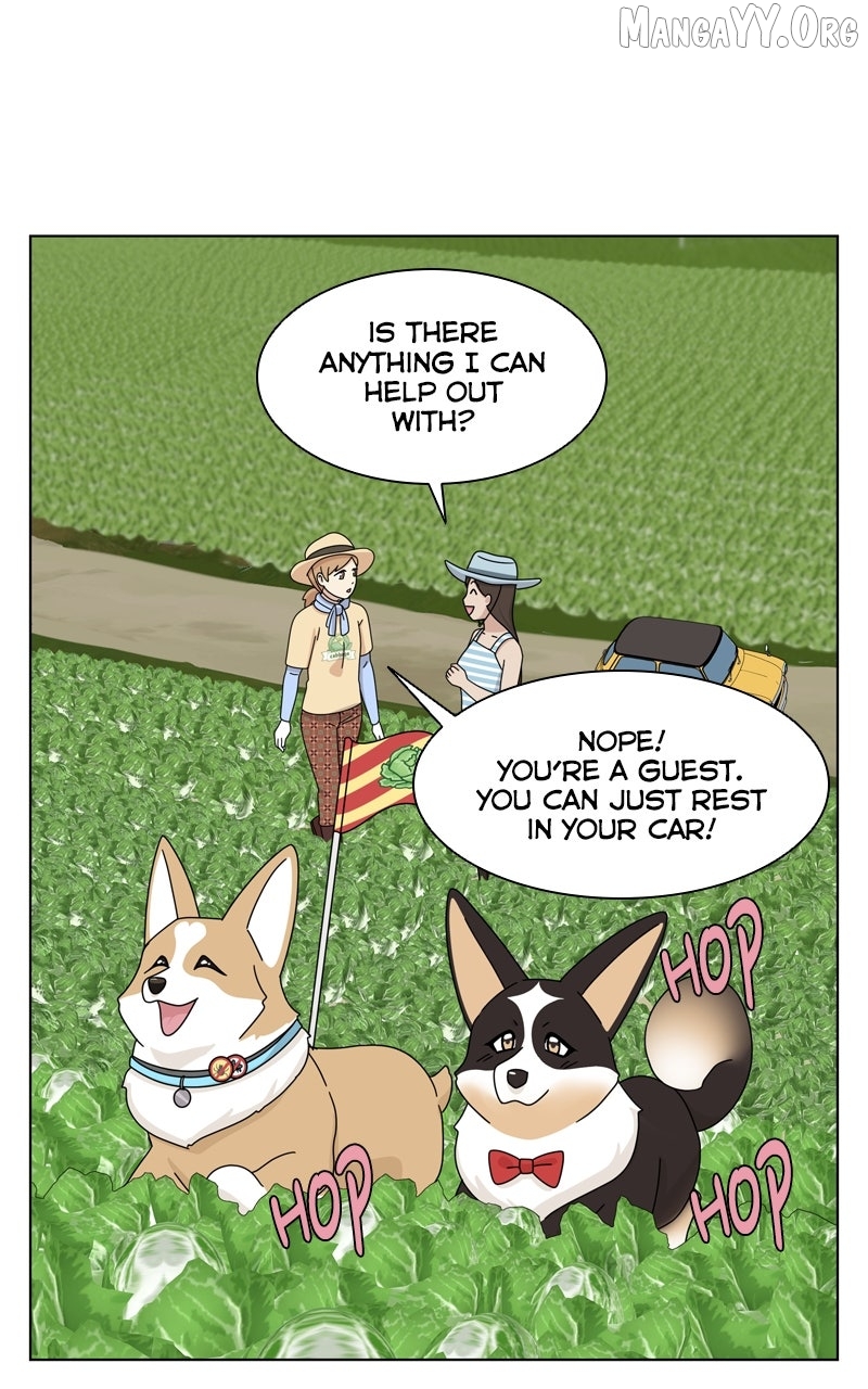 The Dog Diaries Chapter 241 - page 14