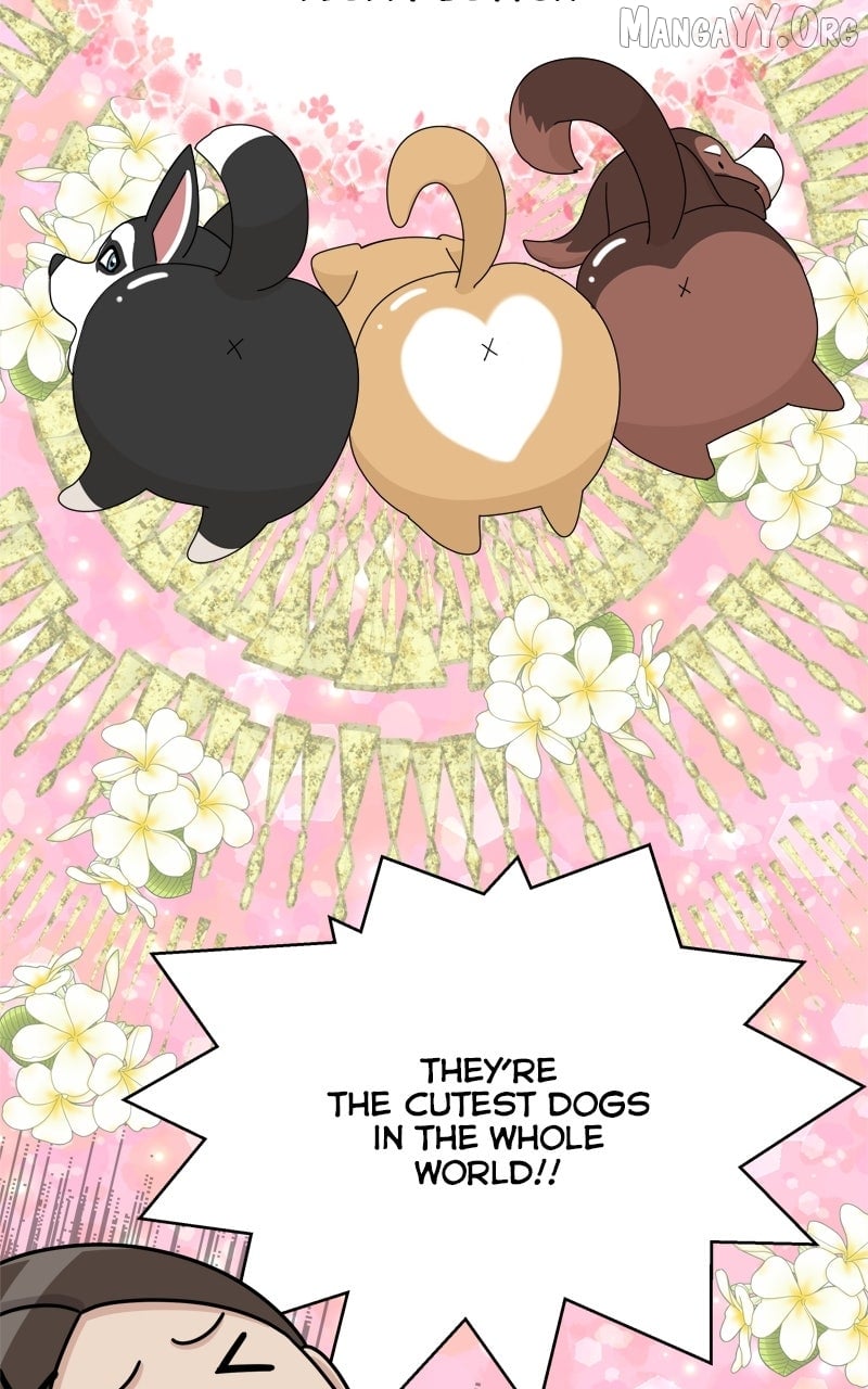 The Dog Diaries Chapter 242 - page 32