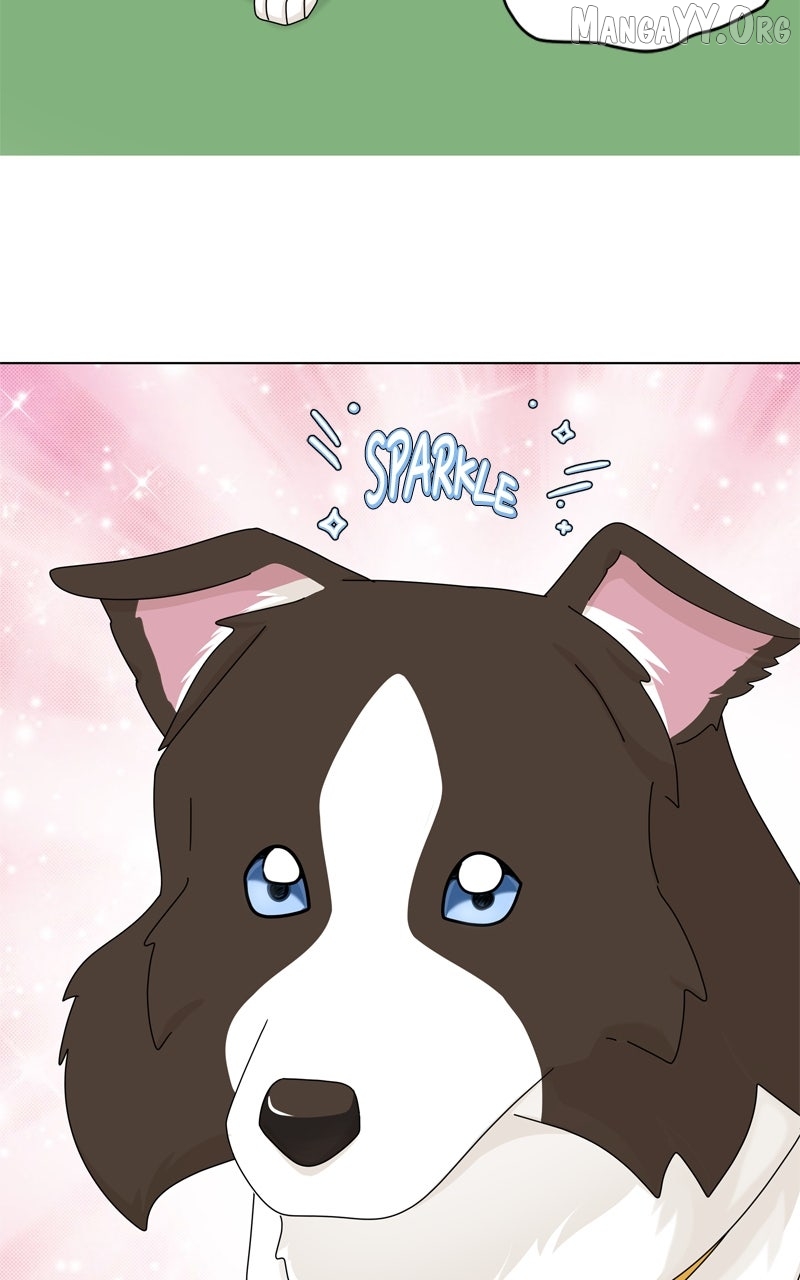 The Dog Diaries Chapter 243 - page 9