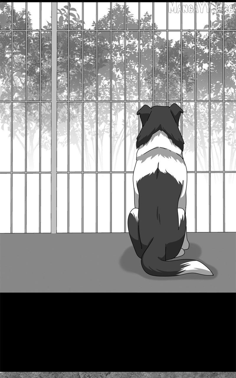 The Dog Diaries Chapter 243 - page 85