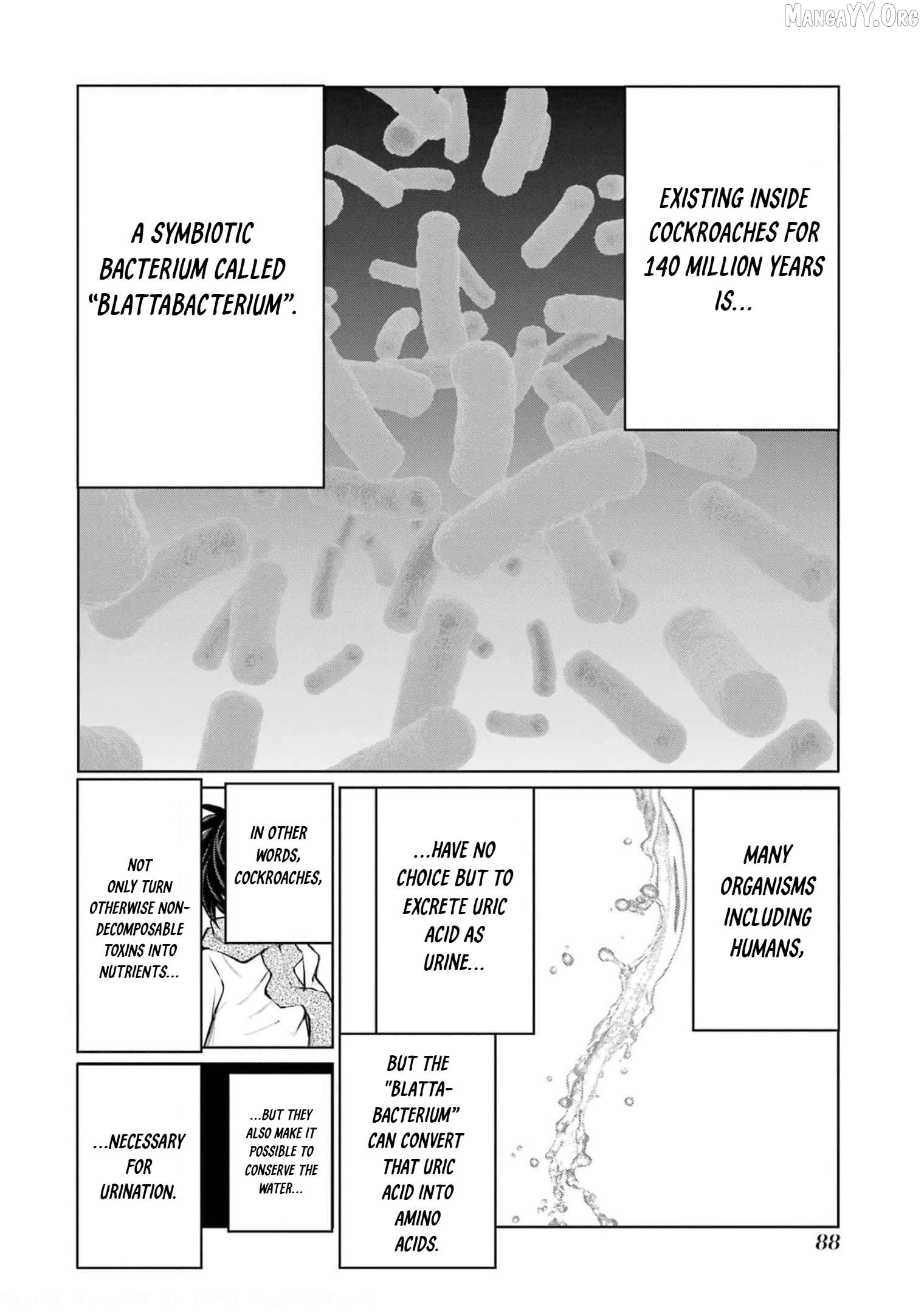 Blattodea - Manga Chapter 16 - page 20