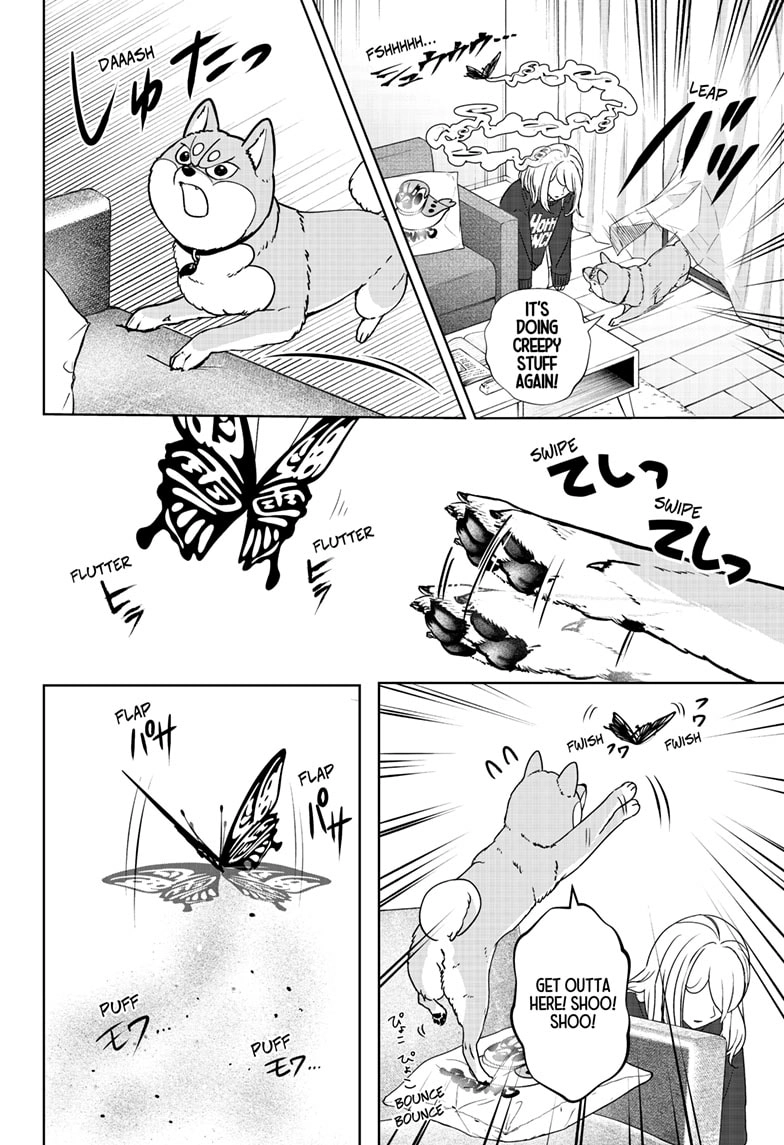 Shiba Inu Rooms Chapter 42 - page 18