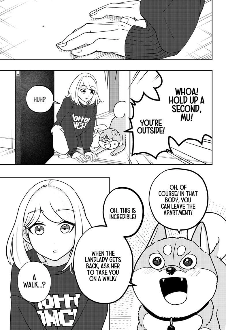 Shiba Inu Rooms Chapter 43 - page 11