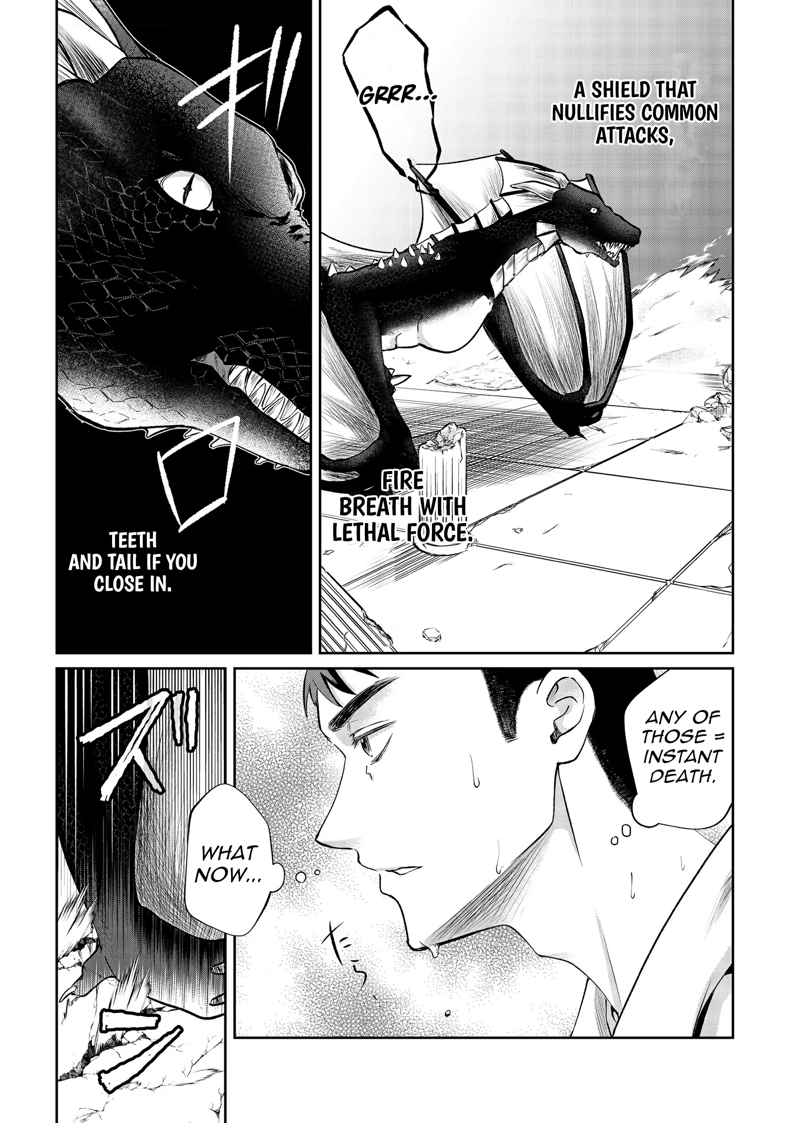 Chuunen Majutsushi no Yuuyuu Jiteki na Dungeon Kouryaku - Skill Orb o Tsukattara Saikyou Skill o Teniireta no de, Suki ni Ikiyou to Omoimasu~ Chapter 14 - page 13