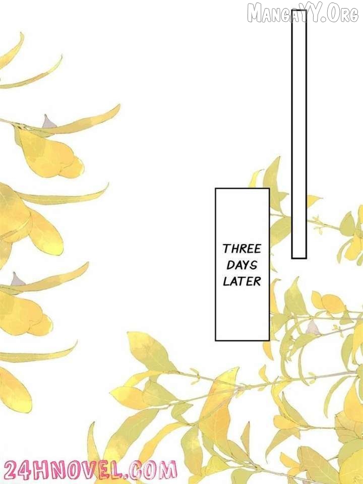 The Cold President's Little Cutie Chapter 60 - page 33