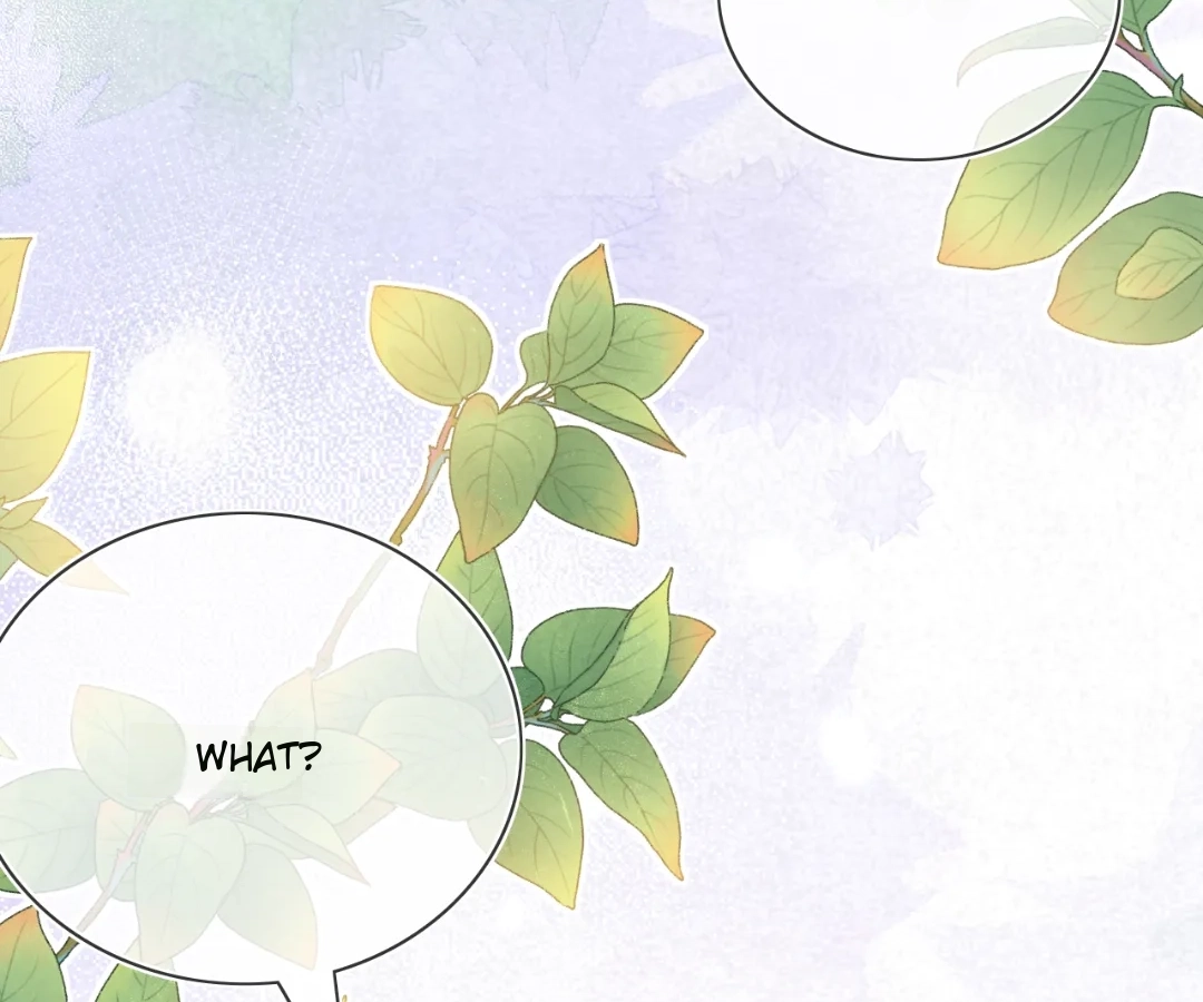 It Is Said That I Am a Fairy Princess Chapter 74 - page 21