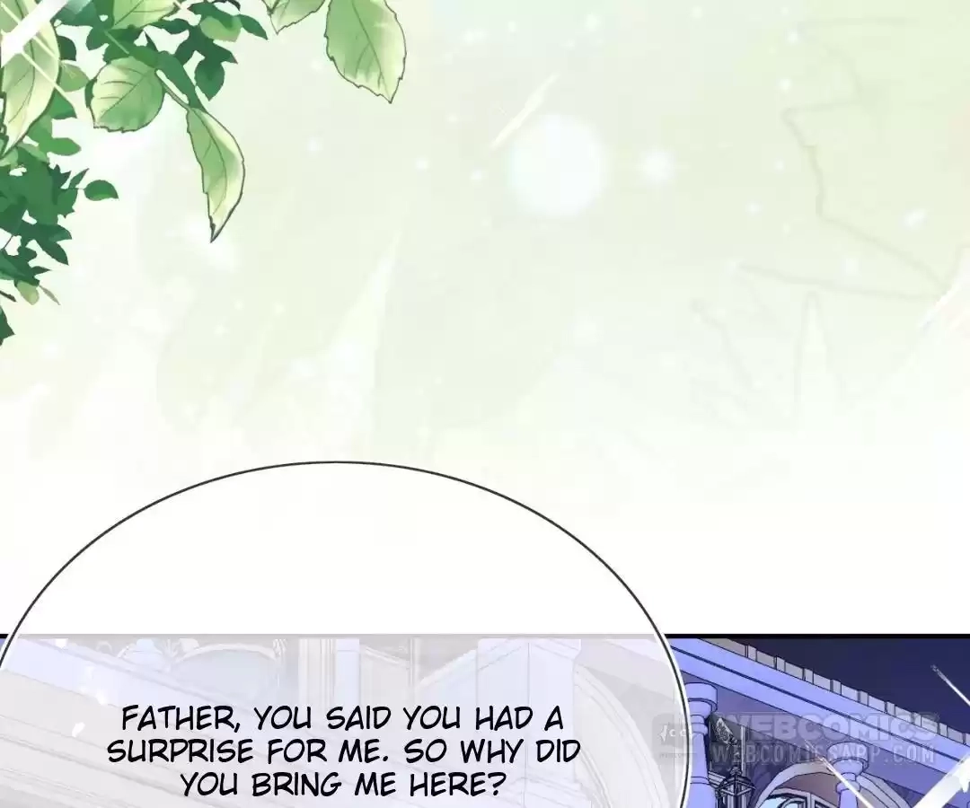 It Is Said That I Am a Fairy Princess Chapter 76 - page 3