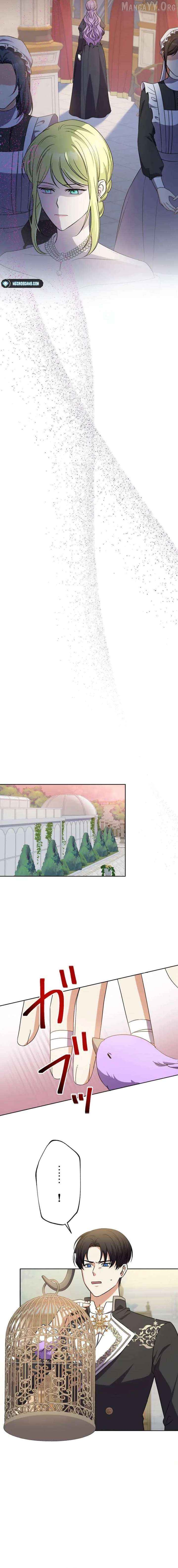 Leaving for My Younger Husband's Future: A Divorce Decision Chapter 38 - page 9