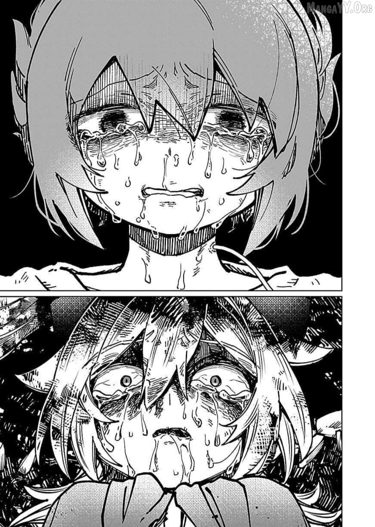A girl who longed to be a "hero" aims to be a "hero" even if she falls into a vampire Chapter 11 - page 3