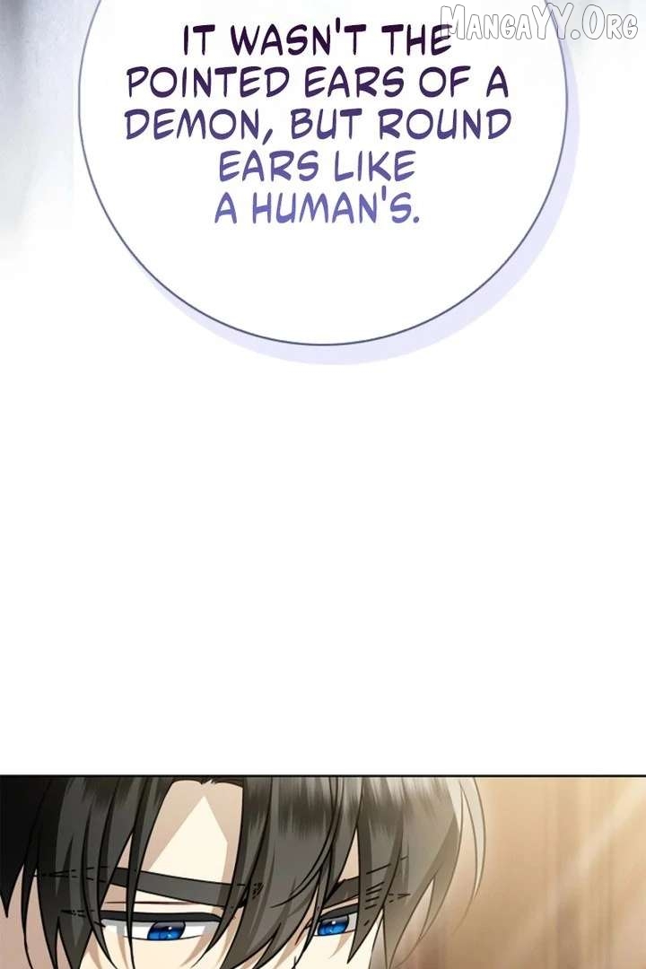 Sorry, I got distracted by your looks Chapter 56 - page 25