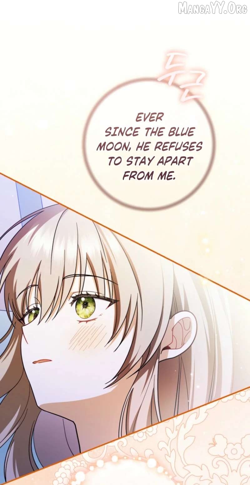 My Dream is to Get My Own House Chapter 40 - page 37