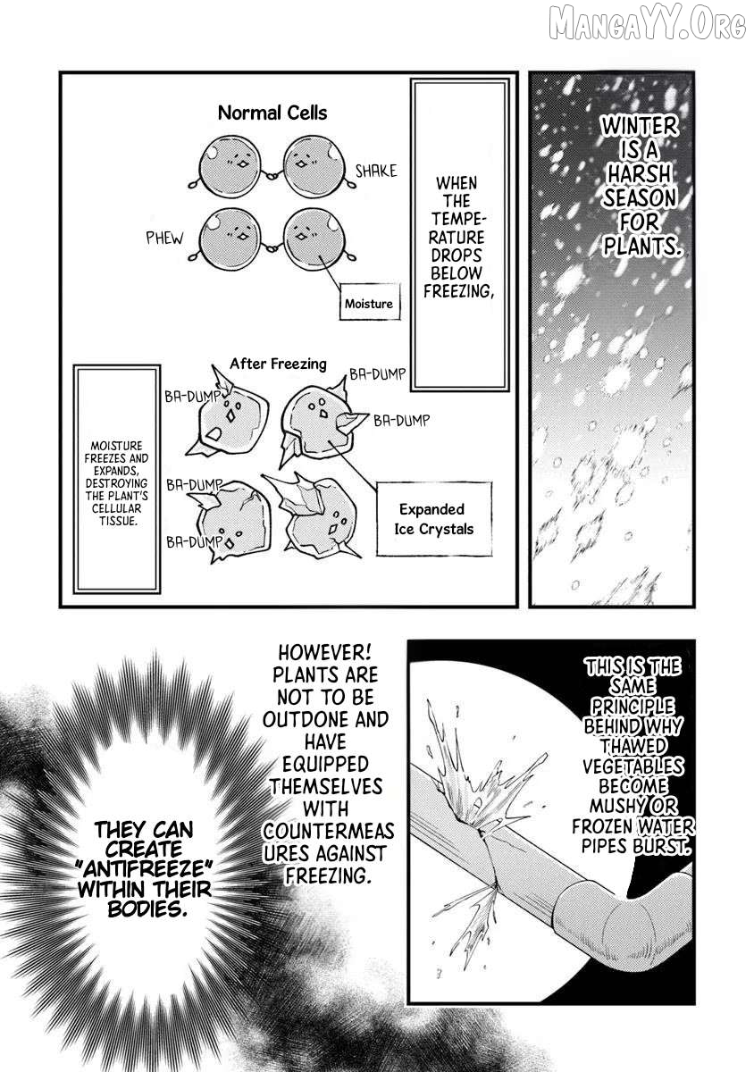 Boukensha Sakaba no Ryourijin Chapter 11 - page 23