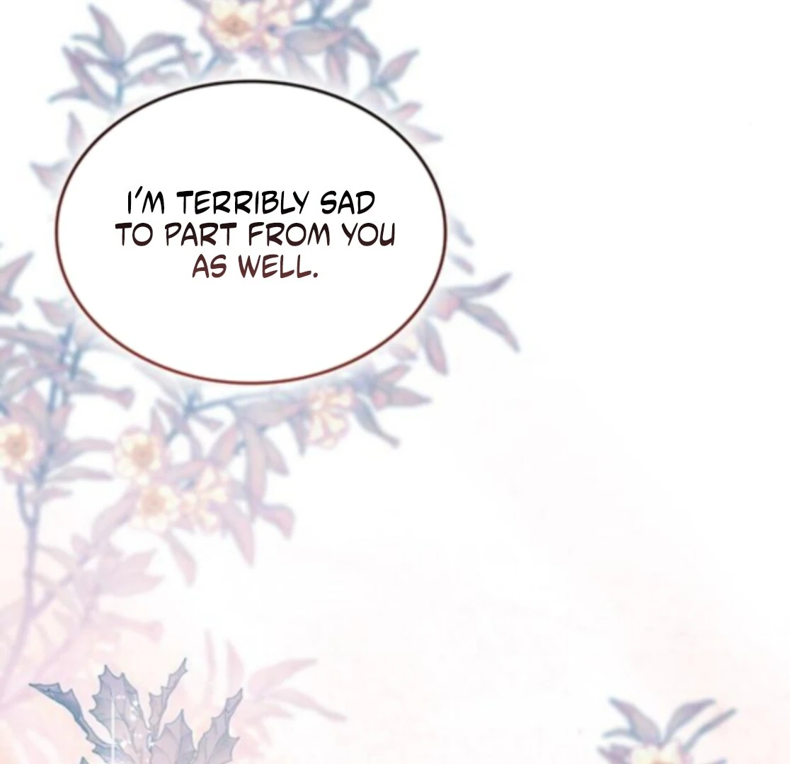 If You Want a Cheeky Sorceress Chapter 31 - page 183