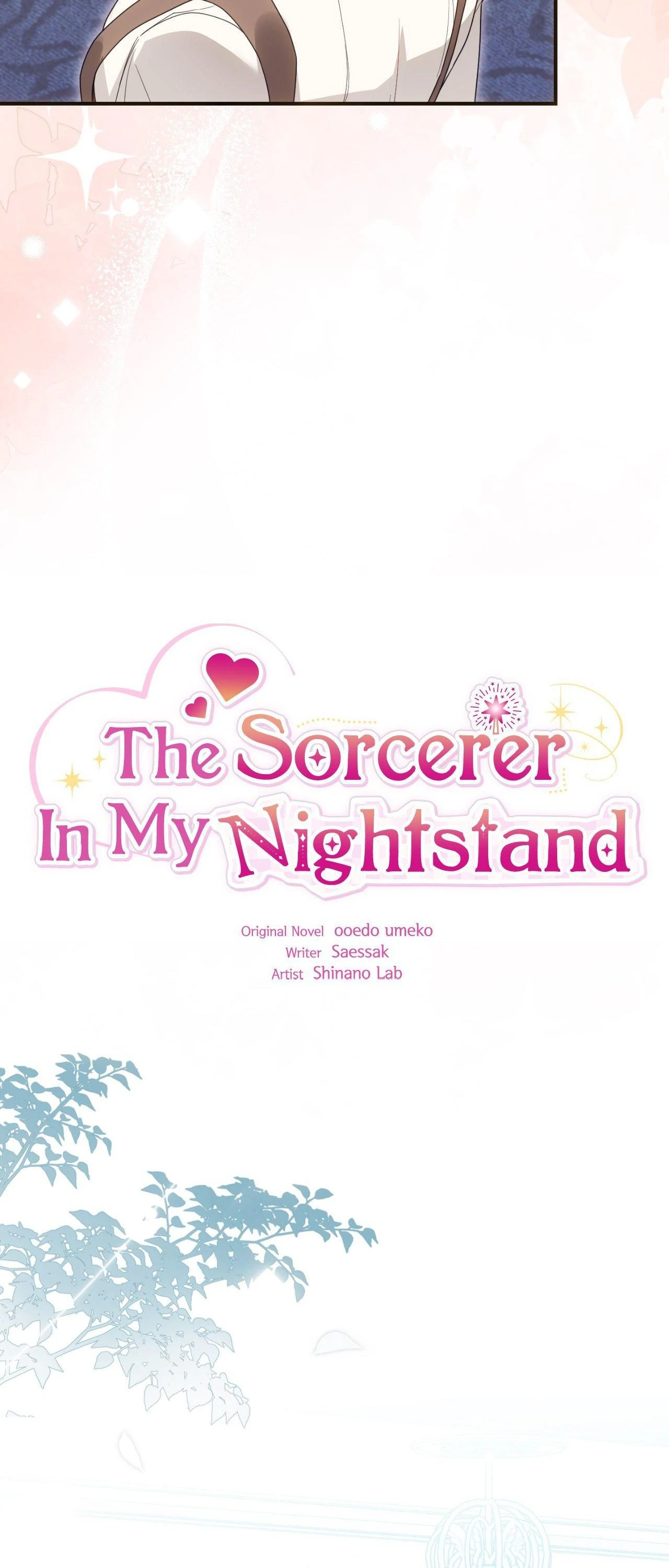 The Sorcerer in My Nightstand Chapter 30 - page 15