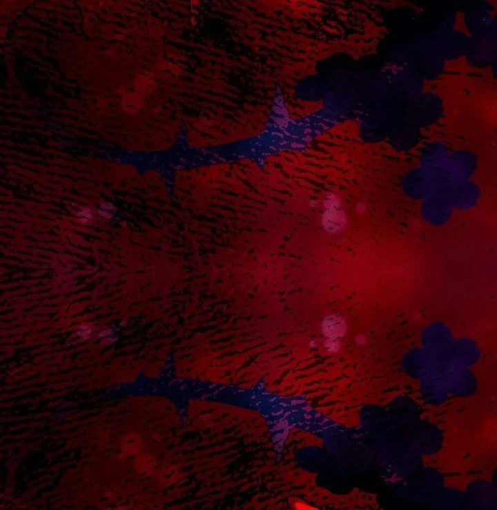 I Won’t Regret My Second Life, The Happy Ending Comes After Revenge Chapter 32 - page 202