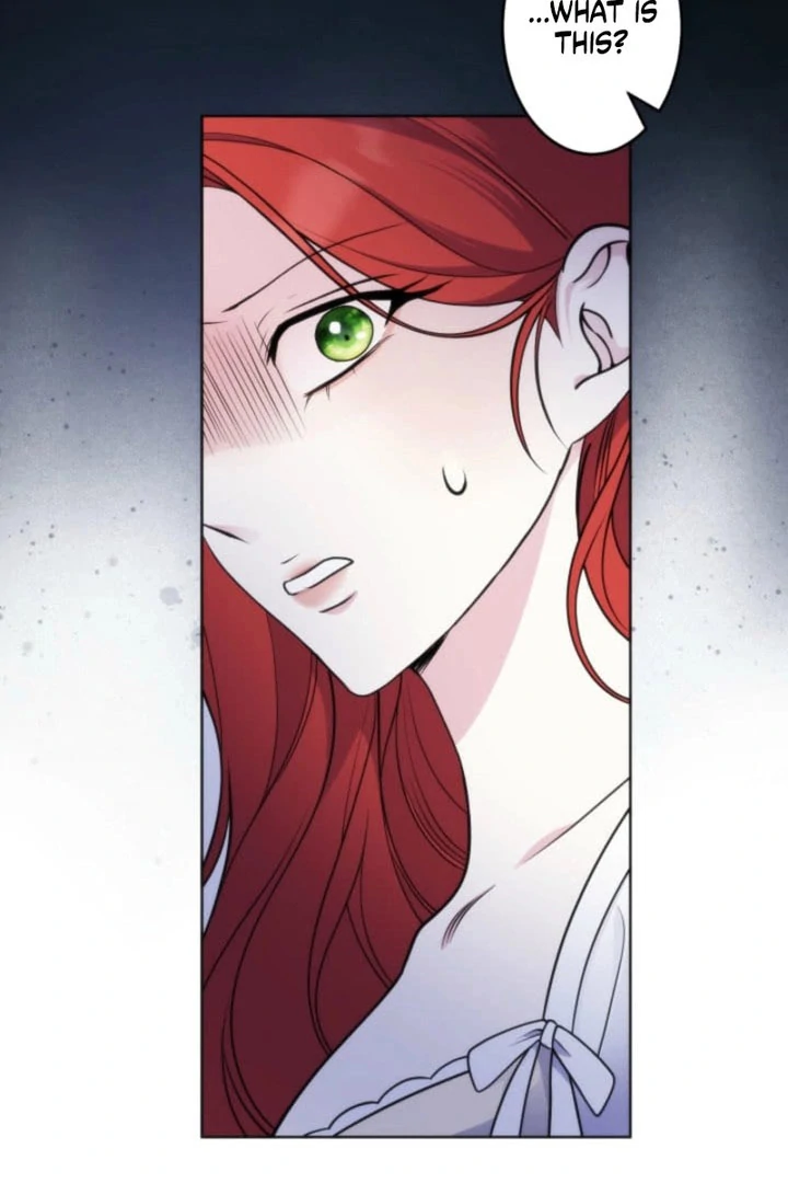The Demon Duke’s Favor Begins the Second Time Around Chapter 27 - page 63