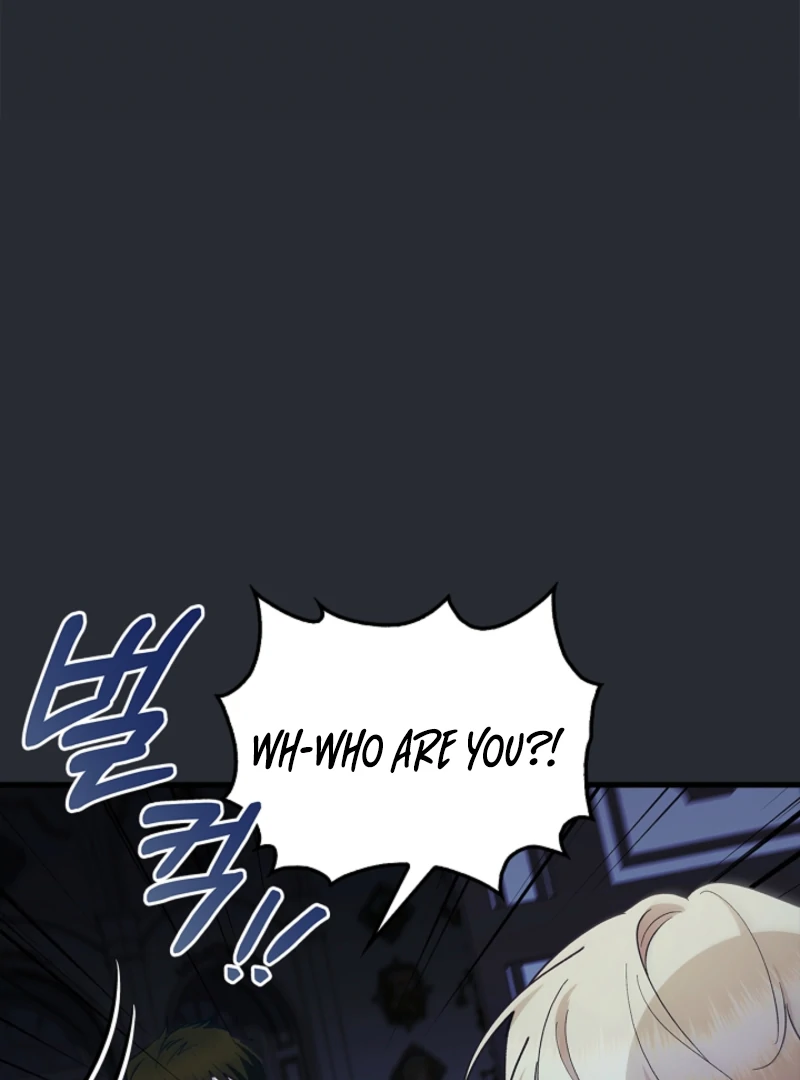 The Countess Who Ran Away Has Returned Chapter 37 - page 10