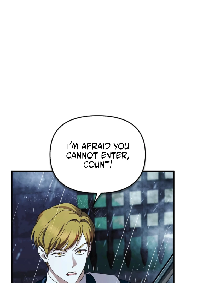 The Countess Who Ran Away Has Returned Chapter 37 - page 29