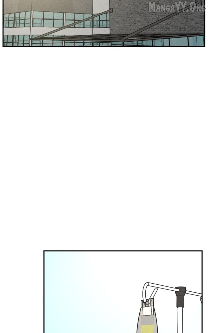 The Shell (Dono) Chapter 21 - page 2