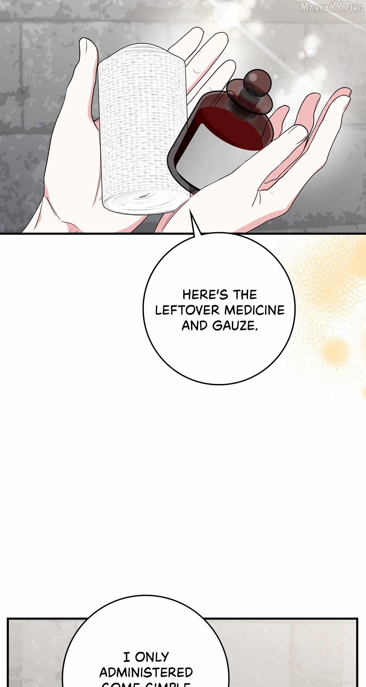 The Beloved Gardener of the World Tree Chapter 27 - page 44