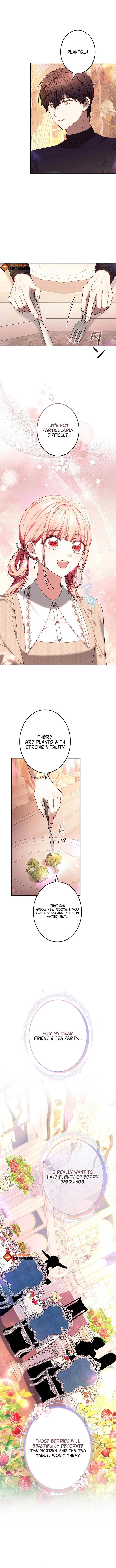 The Super-Strong Noble Lady Wants to Be Truly Weak Chapter 31 - page 11
