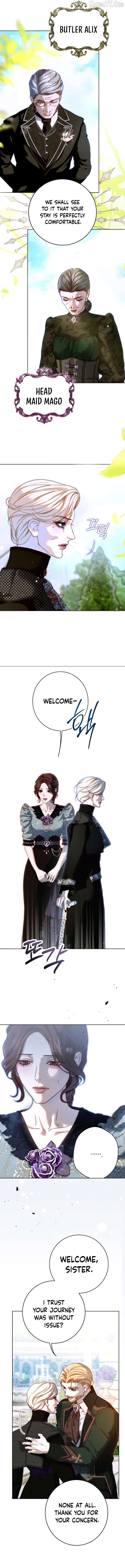 Shards of a Broken Glass Slipper Chapter 28 - page 2